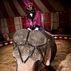 Picture for song 'Purple Circus *T-Pain Type Beat*' by artist 'VinsaneProductions'