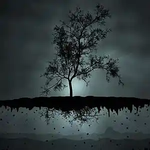 Song picture