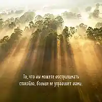 Picture for song 'Cosa Nostra' by artist 'Dictates Of Reason'