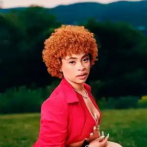 Picture for song '*Radio hit* Ignition (Ice Spice Type Beat)' by artist 'ILD On The Beat'