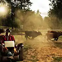 Picture for song 'A laptop cowboy' by artist 'Rocky Del Arnold'