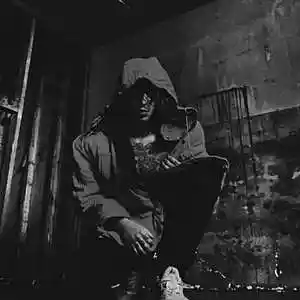 Picture for song 'Lil Lotus Type Beat: KAIZER' by artist 'SON Beats'