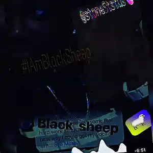 Picture for song 'Stone Status-Race Car' by artist 'Stonee Status'