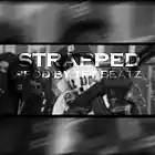 Picture for song 'Strapped' by artist 'Tpt beatz'
