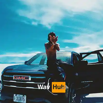 Picture for song 'Flow State (Nine Vicious Sample Type Beat)' by artist 'Wav Hub'