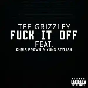 Picture for song 'F**k it Off ft. Tee Grizzley & Chris Brown' by artist 'Yung Stylish'