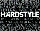 Picture for song 'Hardstyle Boomin' by artist 'BASSOTRONICS'