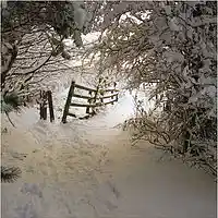 Picture for song 'Snowfall' by artist 'Mike Corfield'