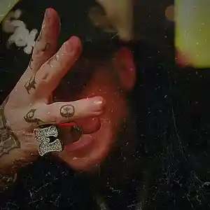 Picture for song 'Icy Winter [Millyz]' by artist 'ProdByArc'