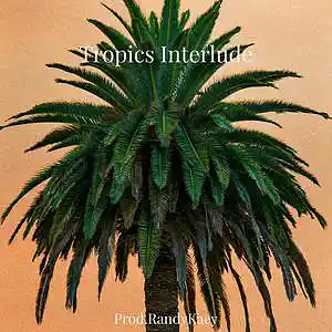 Picture for song 'Tropics Interlude' by artist 'Prod.RandyKaey'