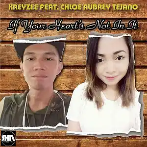 Picture for song 'IF YOUR HEARTS NOT IN IT' by artist 'RhymeHauz Music Productions'