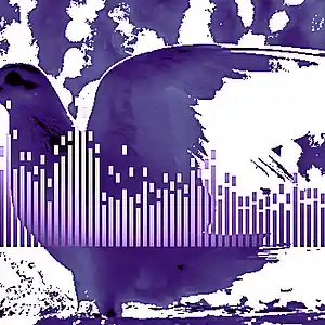 Picture for song 'W'S DRUM & BASS QUICK MIX!! 2019 (PART 2)' by artist 'Sam whitecloak'