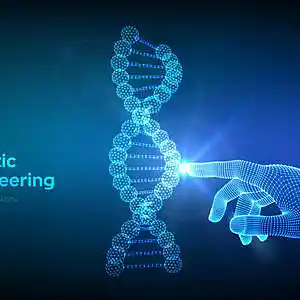 Picture for song 'control sequence' by artist 'adj'