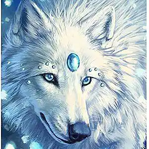 Picture for song 'Never without you instrumental' by artist 'Crystalwolf'