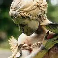 Picture for song 'Amelia' by artist 'D B Hankinster'