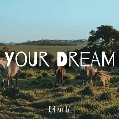 Picture for song '"Your Dream" Morgan Wallen x Shaboozey' by artist 'Filipe Faria'