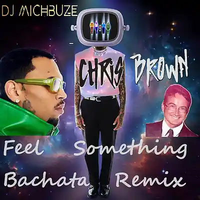 Picture for song 'Chris Brown - Feel Something (Dj michbuze Bachata' by artist 'DJ michbuze'