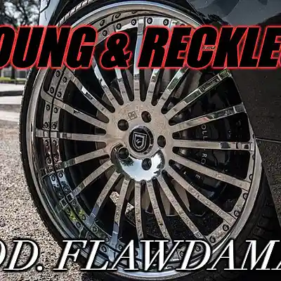 Picture for song 'YOUNG & RECKLESS *BUY 1 GET 2*' by artist 'FlawdaManeDidTheTrack'