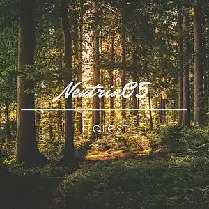Picture for song 'Forest' by artist 'Neutrin05'