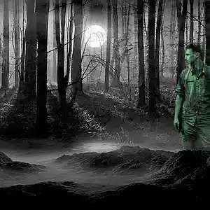 Picture for song 'strange forest' by artist 'TUR1KOFF'