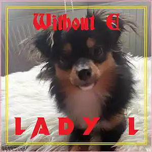 Picture for song 'LADY L' by artist 'WITHOUT E'