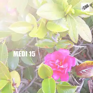 Picture for song 'Medi 15' by artist 'Eizi Hirahara'