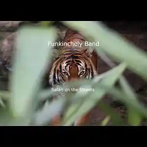 Song picture