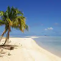 Picture for song 'Plage Deserte' by artist 'Klaatu (CT)'