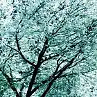 Picture for song 'Not So Simple (Final)' by artist 'Larry Ludwick'