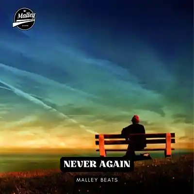 Picture for song 'NEVER AGAIN [COUNTRY RAP TYPE BEAT]' by artist 'Malley Beats'