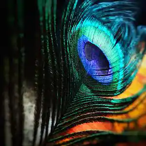 Picture for song 'Brainwash(Insane)' by artist 'Mike karras'