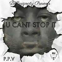 Picture for song 'P.P.V U CANT STOP IT' by artist 'PPVTHEYOUNG'