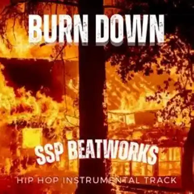 Picture for song 'Burn Down' by artist 'SSP Beatworx'