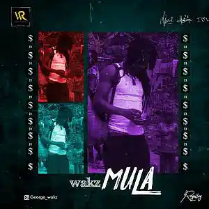 Picture for song 'Wakz- Mula' by artist 'Wakz'