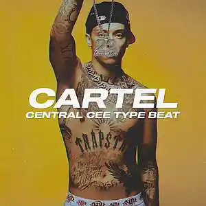 Picture for song 'Cartel (BUY 1 GET 4 FREE)' by artist 'Wendigo'