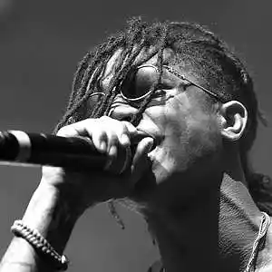 Picture for song 'Yung Fokus - Feelin Irie' by artist 'Yung Fokus'