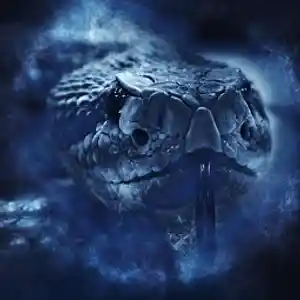 Picture for song 'Snake Bite' by artist 'Alan L Cole'