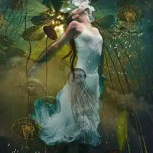 Picture for song 'War' by artist 'Cecilialove'