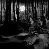 Picture for song 'The Dark Forest' by artist 'Daniel Eboli'