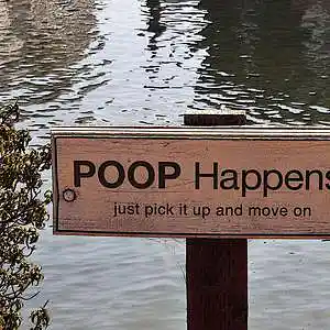 Picture for song 'Poop Bits' by artist 'JoshPranks'