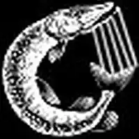 Picture for song 'Vinminen Plays the Hairs of the Demons Gelding' by artist 'Michael Chocholak'