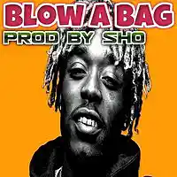 Picture for song 'Blow A Bag (Prod. By Sho) ' by artist 'Produced By Sho'