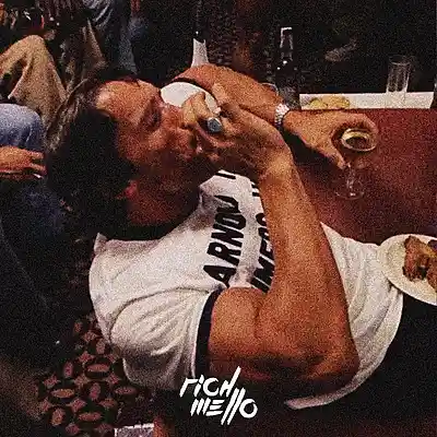 Picture for song 'Euphoria' by artist 'RICH MELLO'