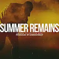 Picture for song 'Summer Remains' by artist 'AndreOnBeat'