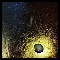 Picture for song 'Bruce Trials' by artist 'BankTraxX'