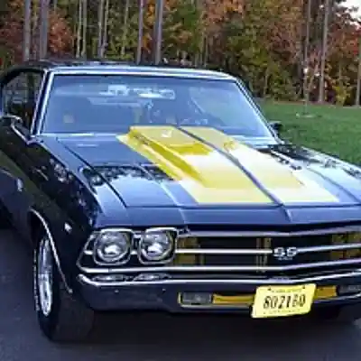 Song picture of 'Wildman hang it up blues'