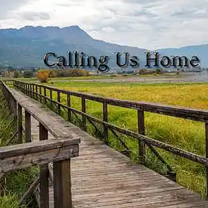 Picture for song 'We'll Always Have a Home' by artist 'firesong'