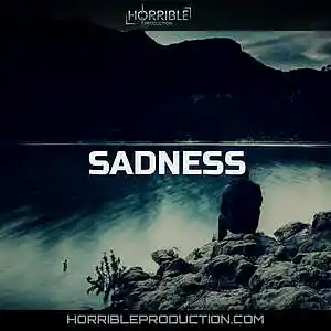Picture for song 'Sadness' by artist 'Horrible production'