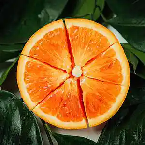 Picture for song 'Lost' by artist 'P.R Beats'