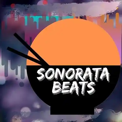 Picture for song 'Boom bap Type Beat TerresBeat09 East 90s' by artist 'Sonoratabeats'